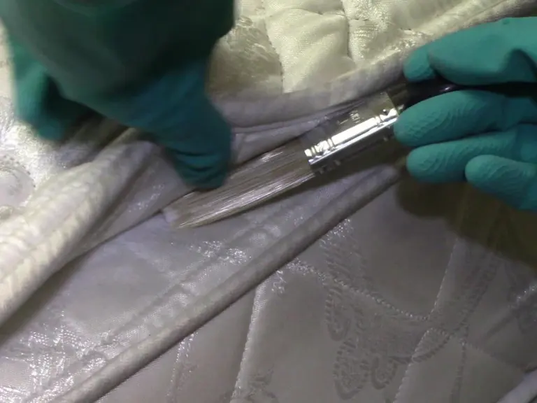 An image showing Cimexa being applied with a small paint brush