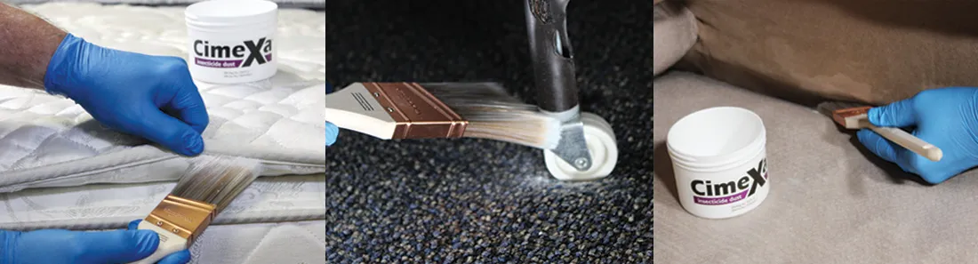 An image showing Cimexa being loaded onto a brush and applied