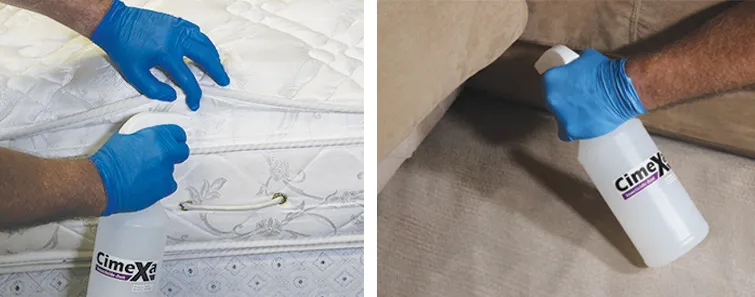 An image showing Cimexa being sprayed onto a mattress and furniture